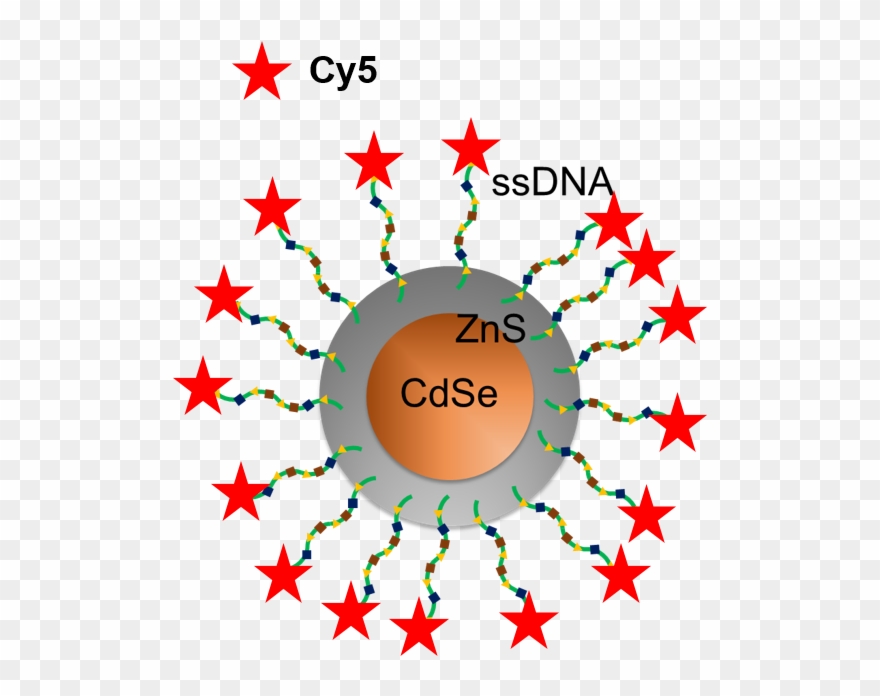Previous Results Suggest The Success Of Experiments Clipart