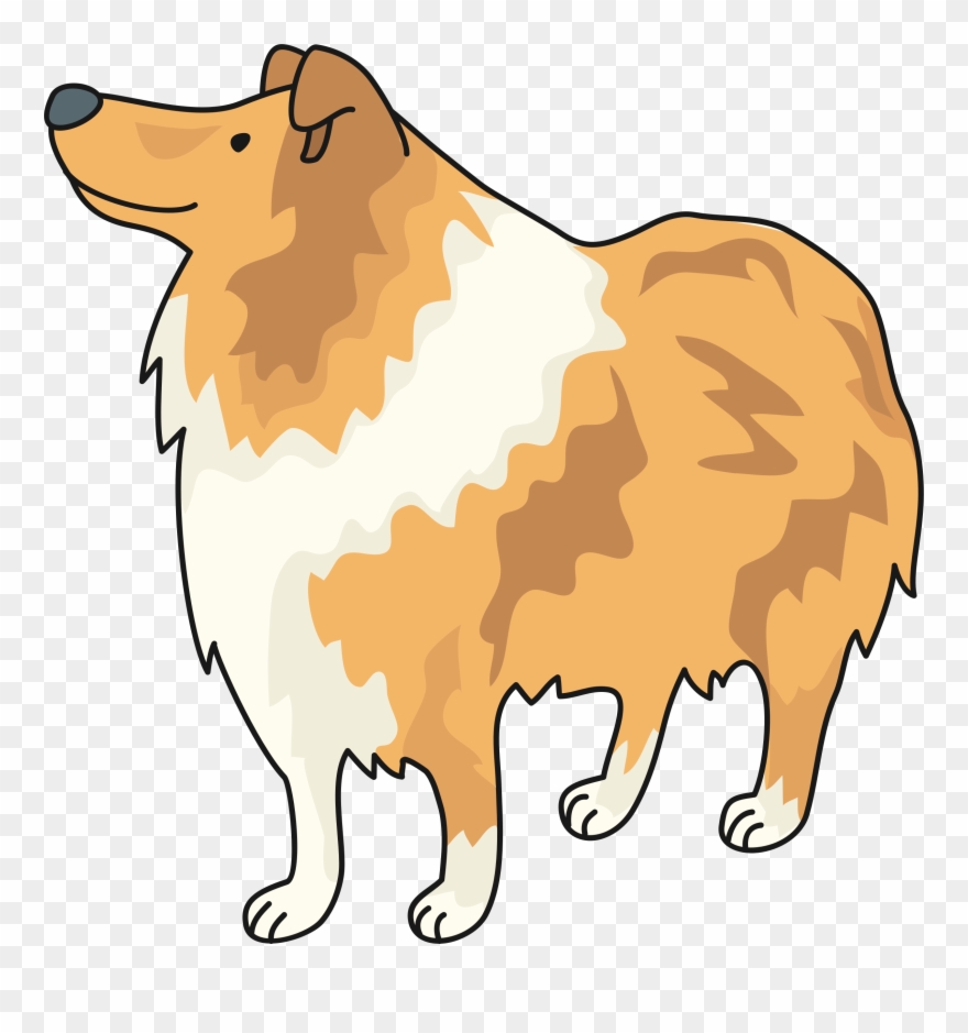 Collie Clipart