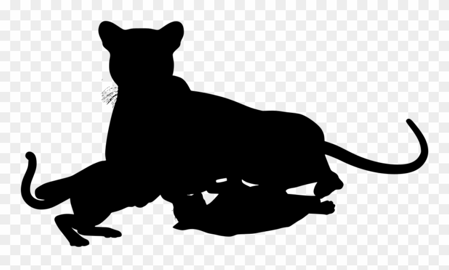Wildcat Clipart Cheetah - Png Download