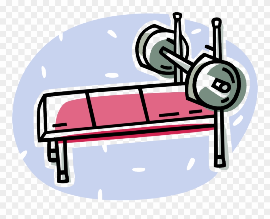 Vector Illustration Of Bench Press Used In Weight Training, Clipart