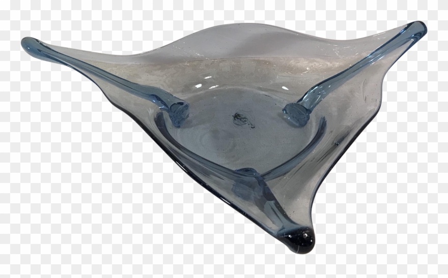 Stingray Transparent Underside Clipart