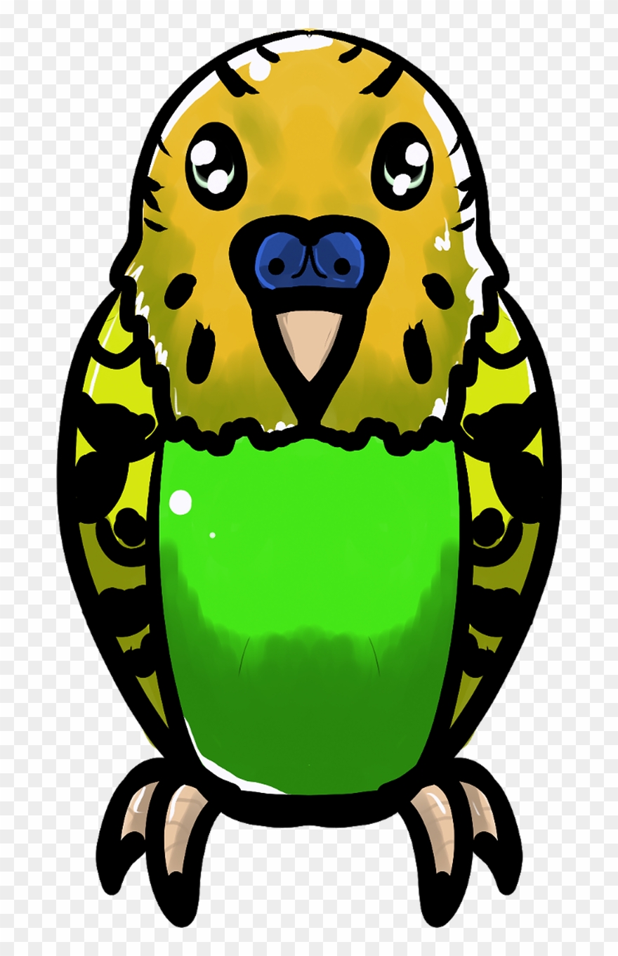 Budgie Parrot Bird Clipart