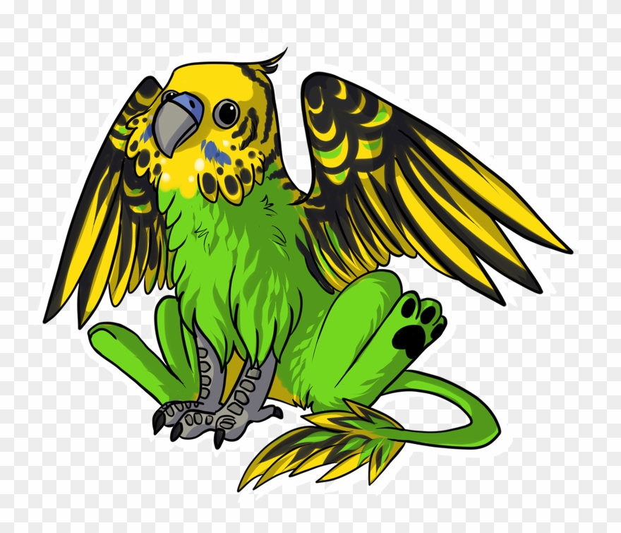 Budgie Drawing Parakeet Clipart
