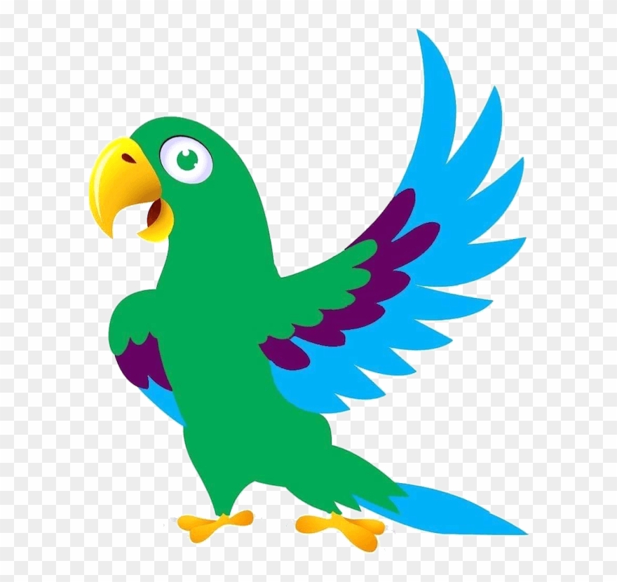 Rdm Parrots & Supplies Illawarra Clipart