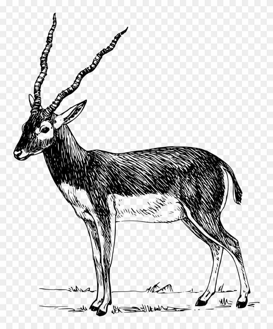 Info Clipart