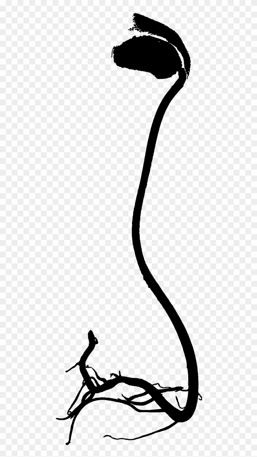 Sy Eliot Clipart
