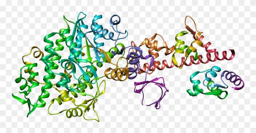 57, 6 February 2015 Clipart