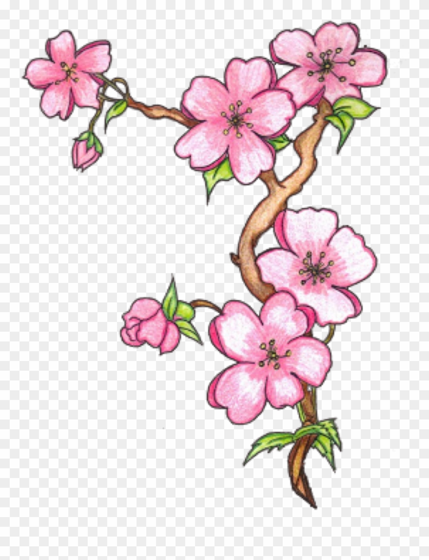 Sakura Sticker Clipart