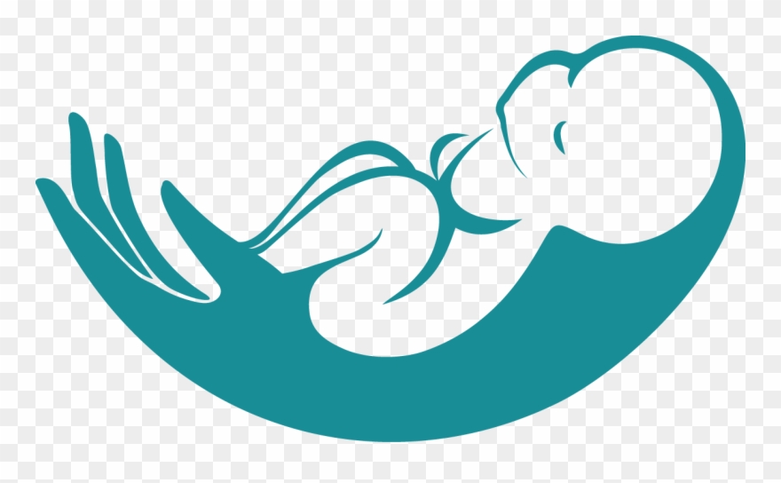 Highlighting Updates In Pediatric Cardiology Clipart