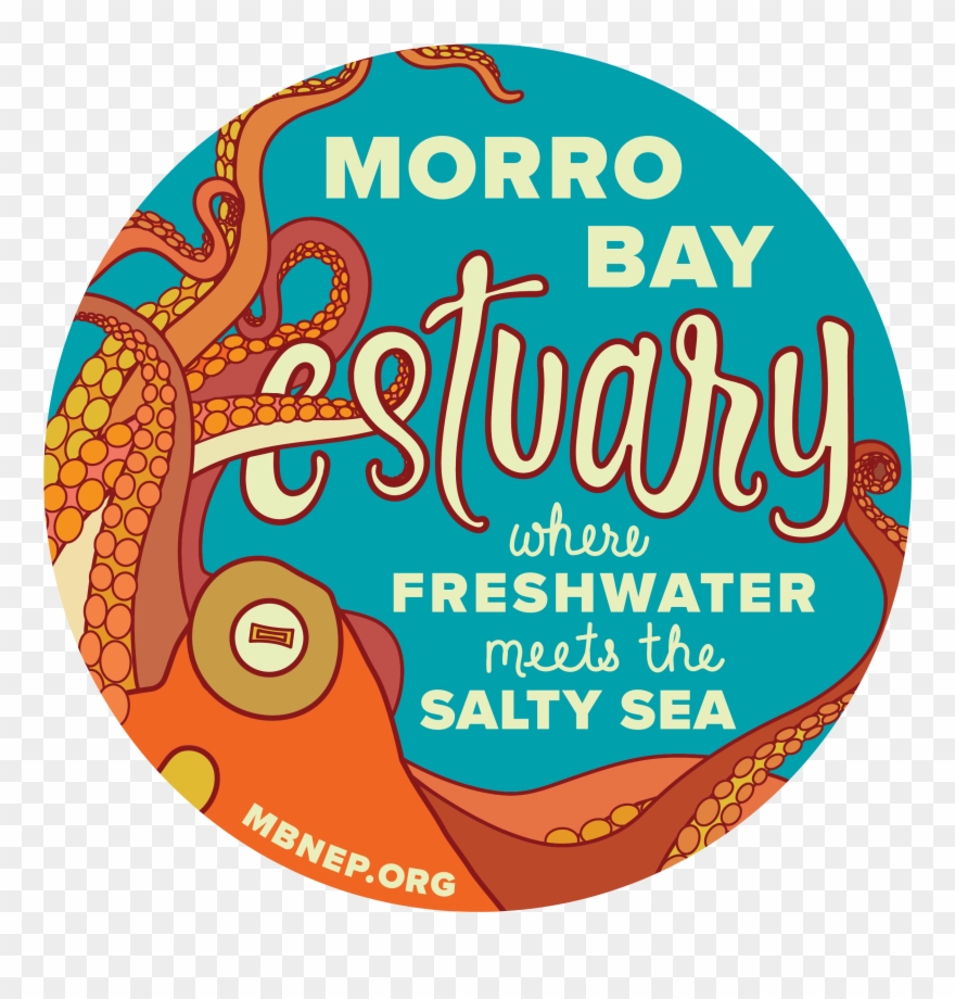 Explore The Coast App Clipart