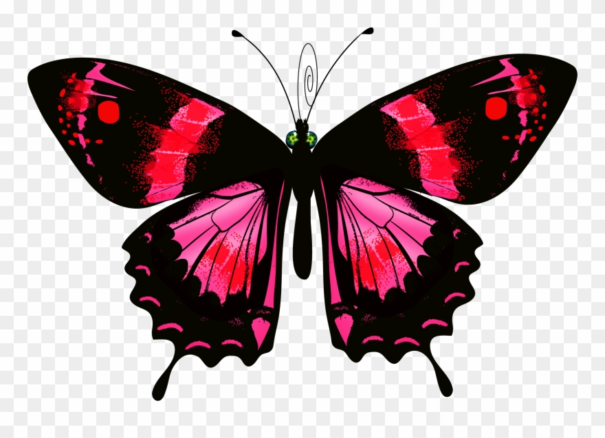 Luna Moth Clipart Transparent - Png Download