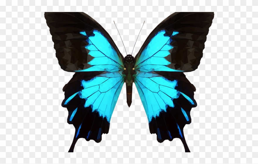 Moth Clipart Tumblr Transparent - Png Download