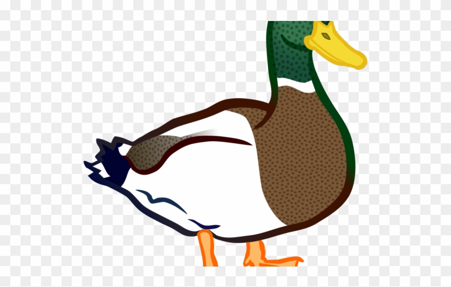 Mallard Clipart Lake Animal - Png Download