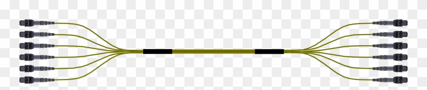 6x8mtp 48 Fiber Breakout Assembly Samm Teknoloji Fiber Clipart
