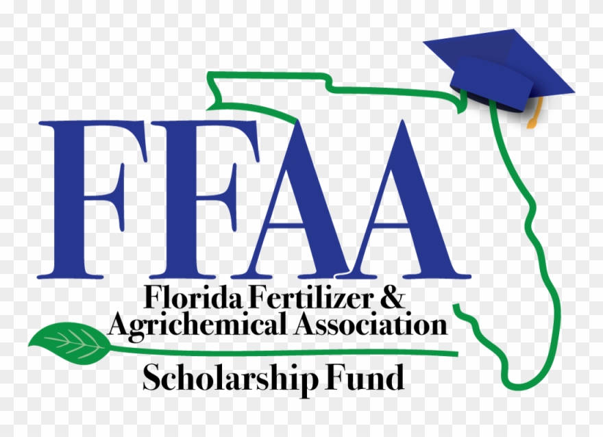 2017 Foundation Final Clipart