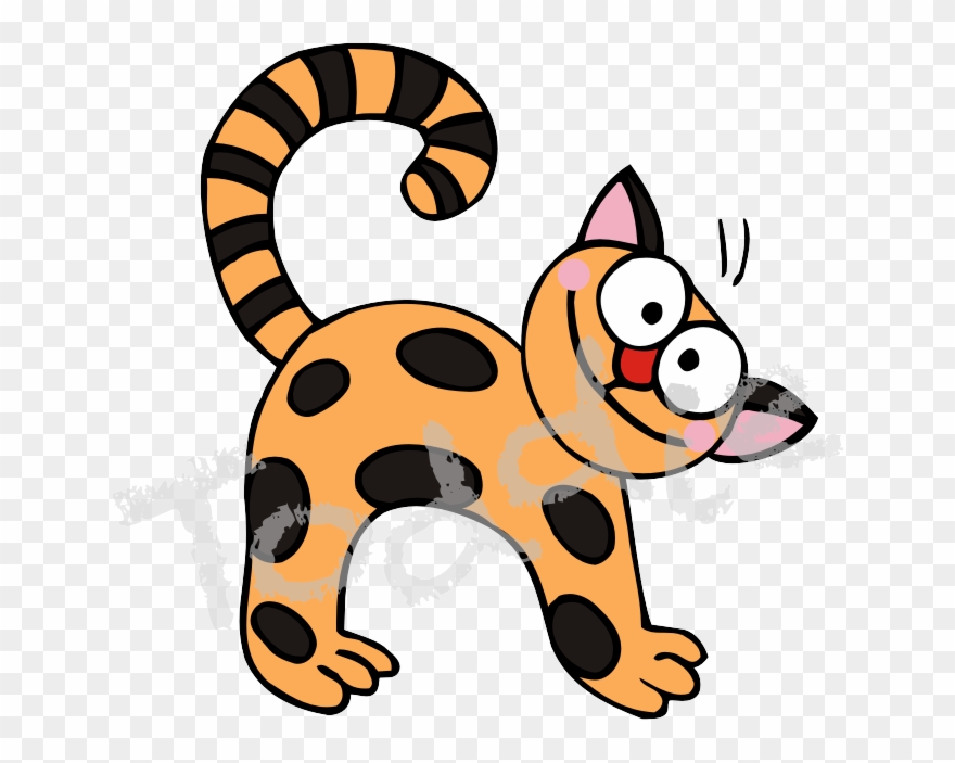 Stipes Was A Lovely, But A Very Puffed-up Little Cat Clipart