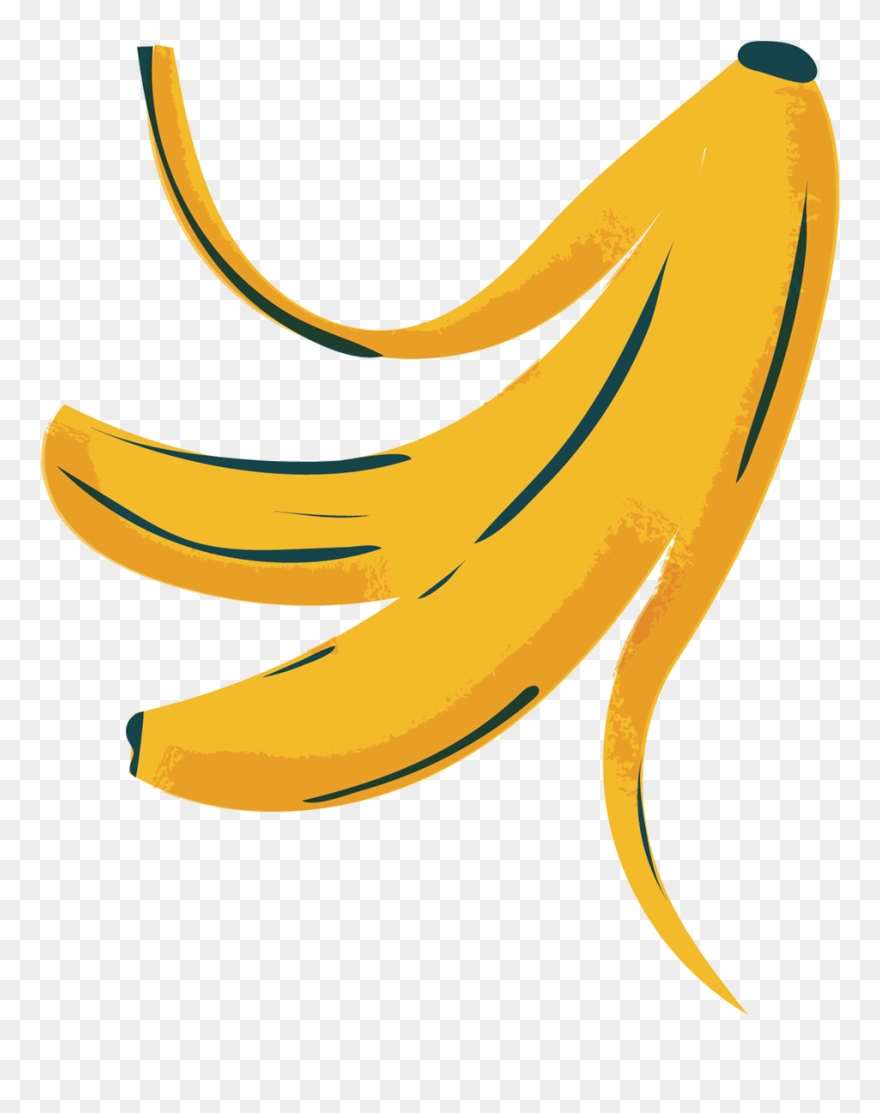 Particularly In Reproductive Products Clipart