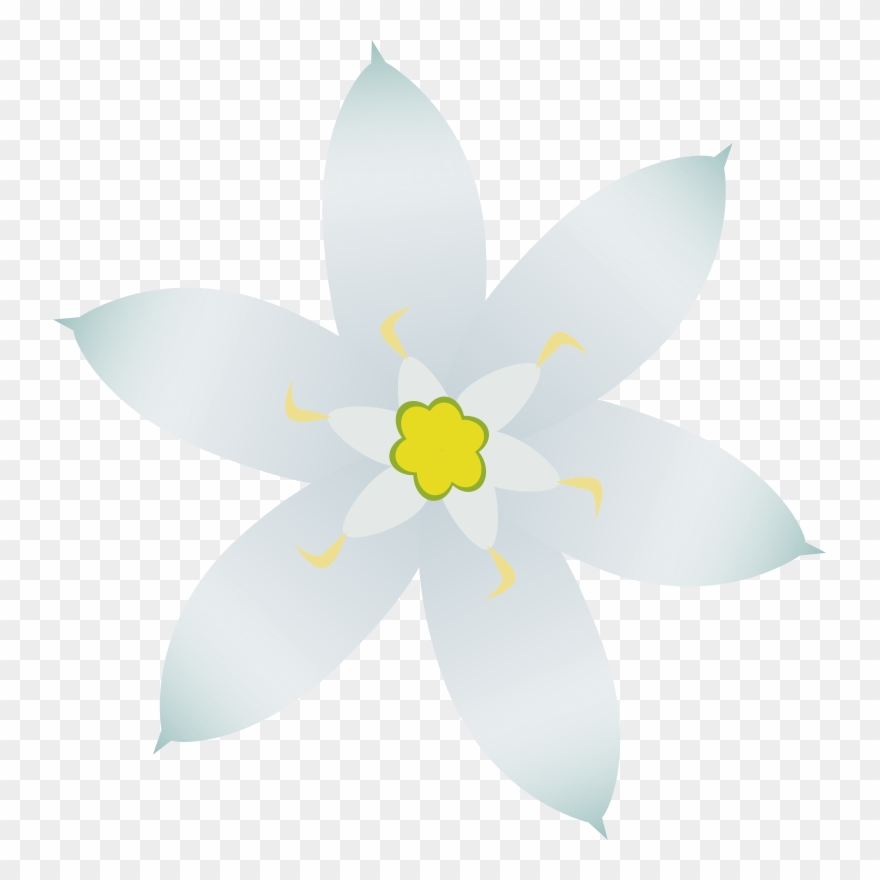 Medium Image Clipart