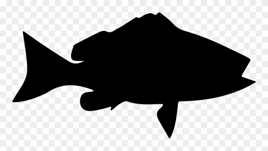 Call Of Duty Clipart Sole Fish - Png Download