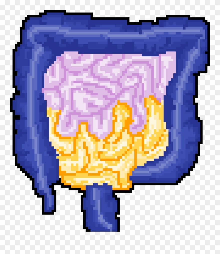 Intestines Clipart