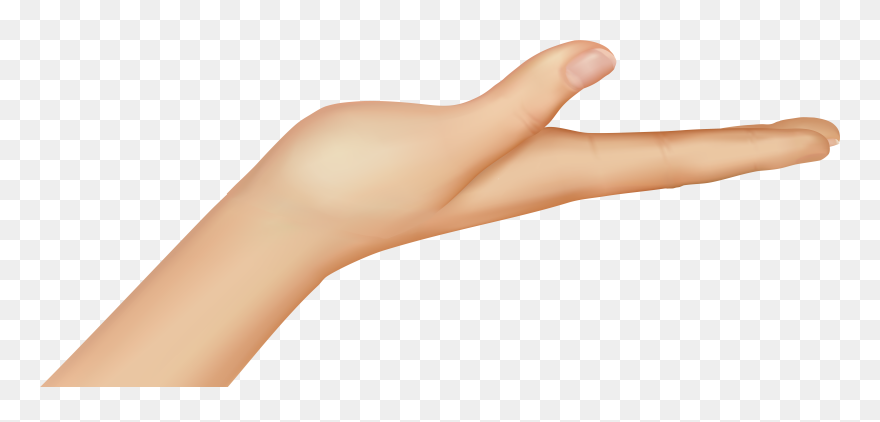 Free Png Download Palm Flat Of Hand Clipart Png Photo Transparent Png