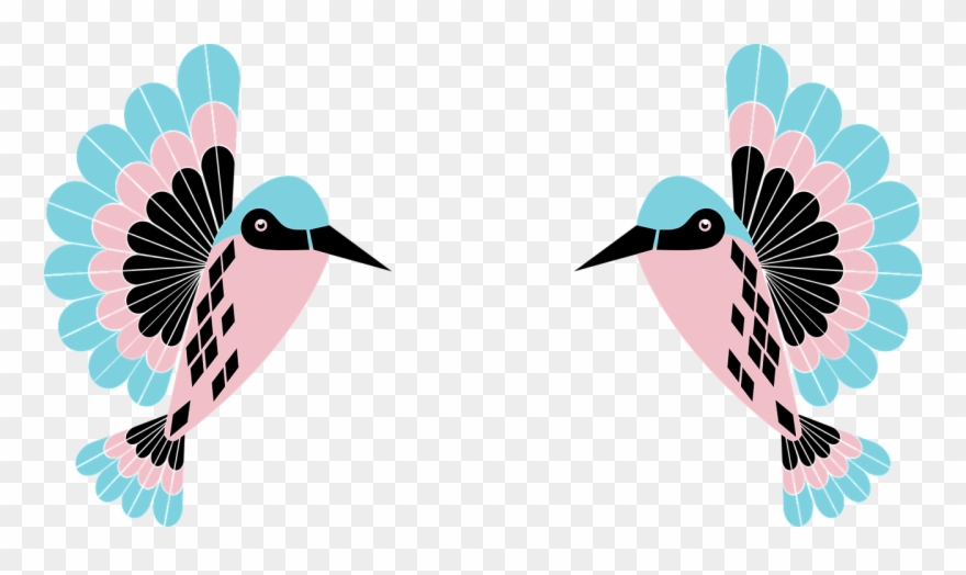 Hummingbird Birdie Birds Clipart