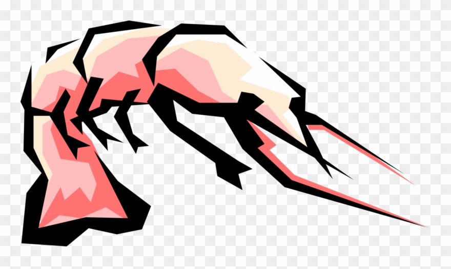 Vector Illustration Of Decapod Marine Crustacean Prawn Clipart