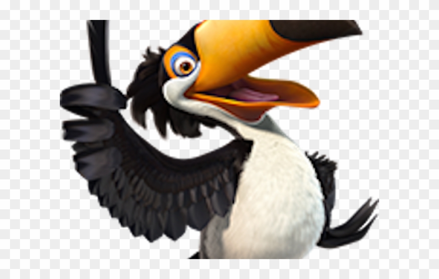 Rio Clipart Rio Bird - Png Download