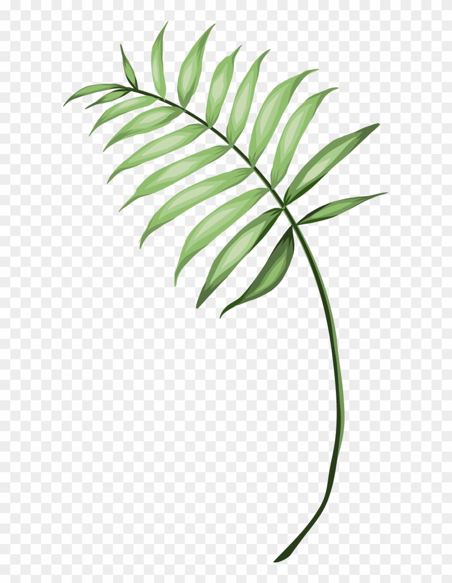 A Couple's Guide To Choosing The Right Resort For Your Clipart