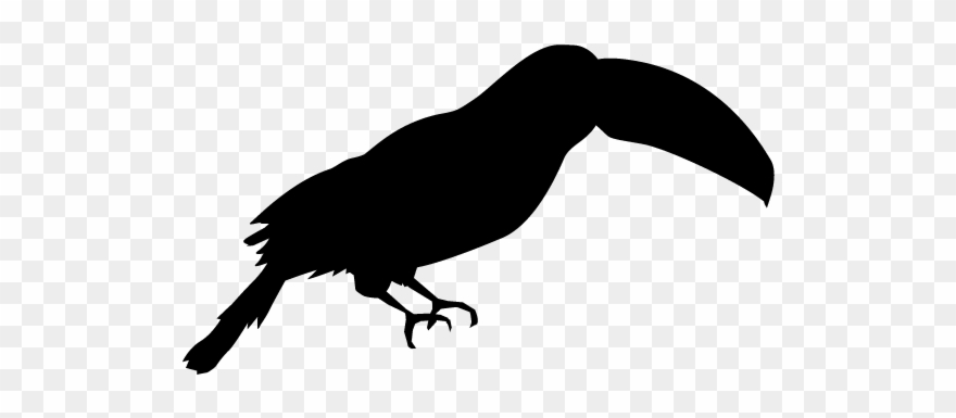 Toucan - Silhouette - Animals Illustration Clipart