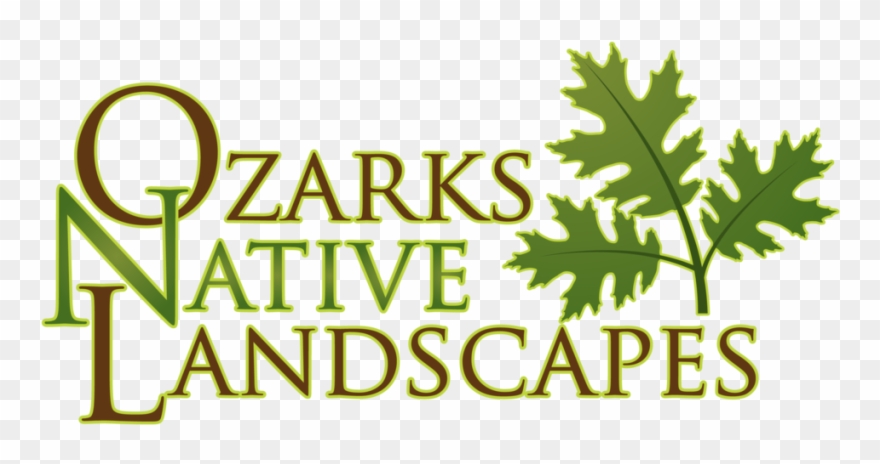 Ozarks Native Landscapes 82817 Clipart