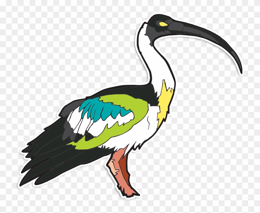 Image Of Ibis Stickers Clipart