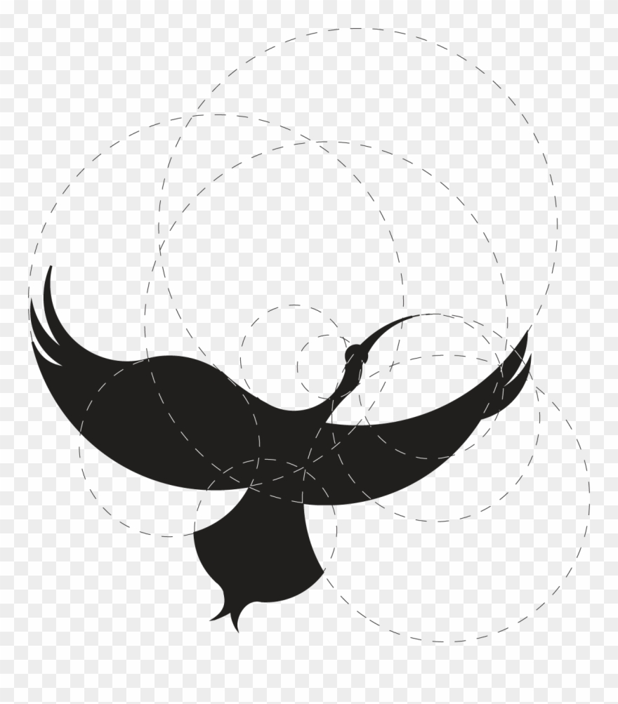 Ibis, I Went Through An Extensive Exploration Process, Clipart