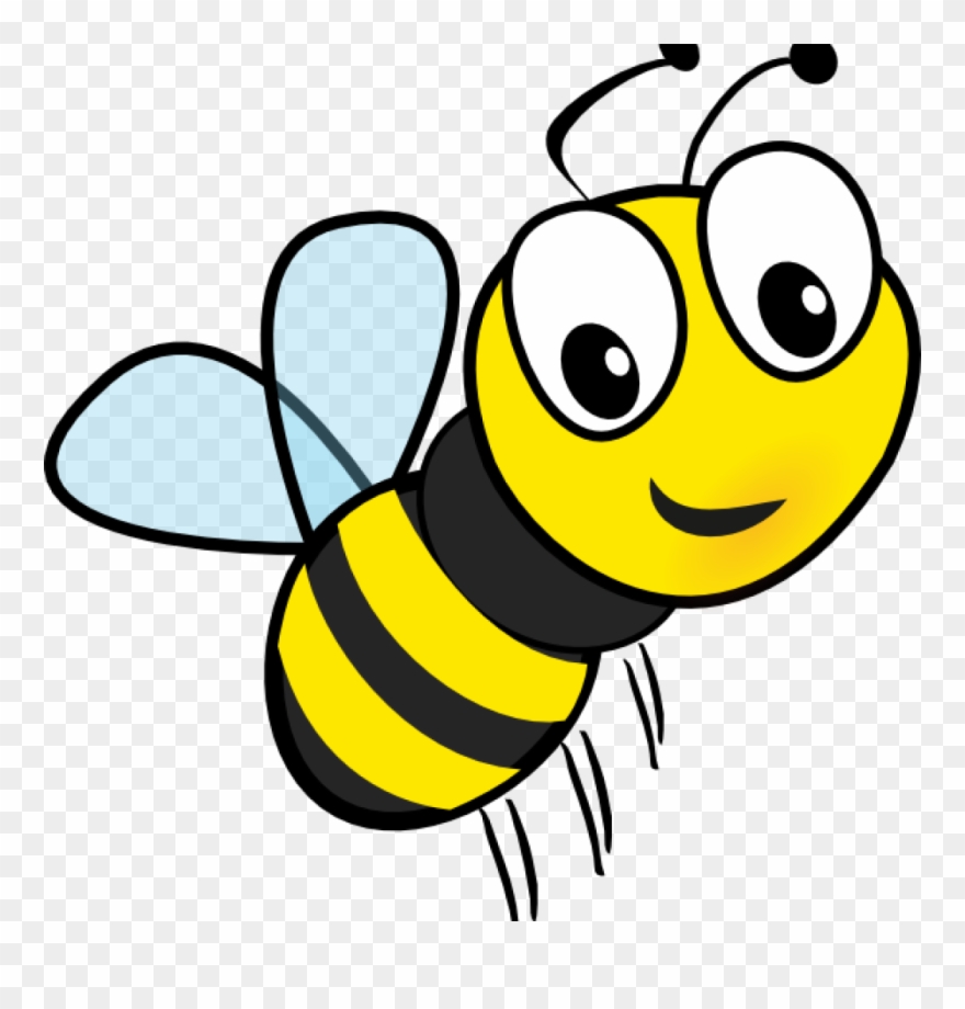 Clipart Of Bumble Bees 19 Bumblebee Picture Transparent - Bee Drawing Png