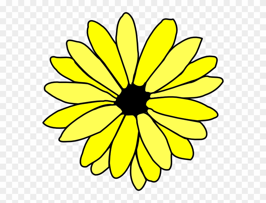Daisy Clipart