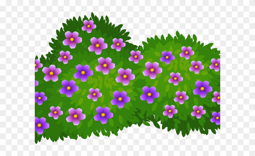 Daisy Clipart Wildflower - Bush Clipart Transparent Background - Png Download
