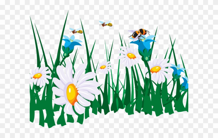 Daisy Clipart Bee - Bees On Flowers Clip Art - Png Download