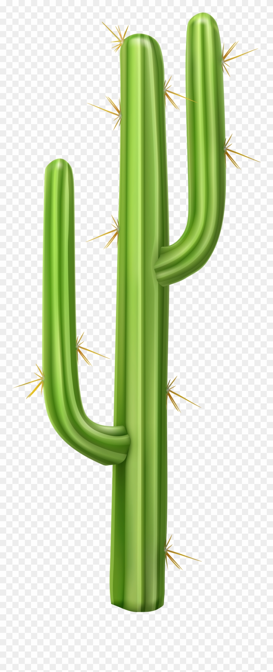 Transparent Background Cactus Clipart - Png Download