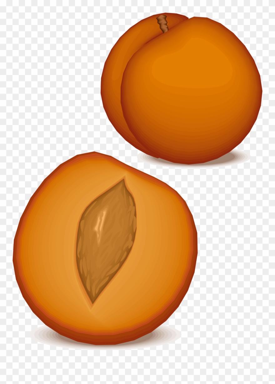 Big Image - Vector Clipart