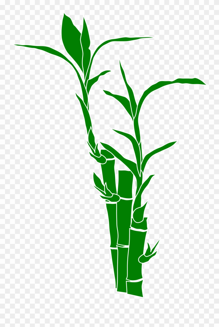 Big Image - Clipart Bamboo - Png Download