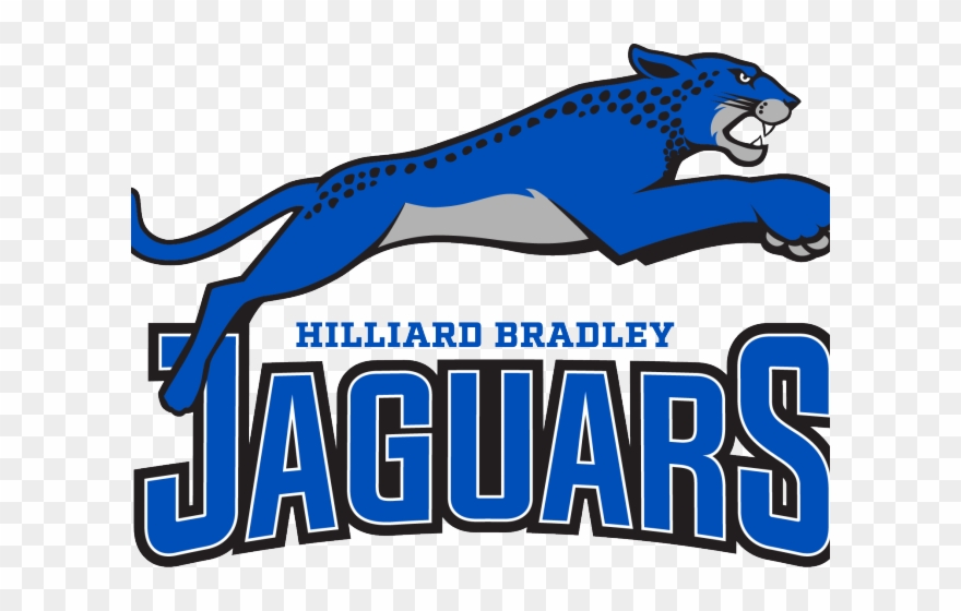 Panther Clipart Pickerington - Hilliard Bradley Logo - Png Download