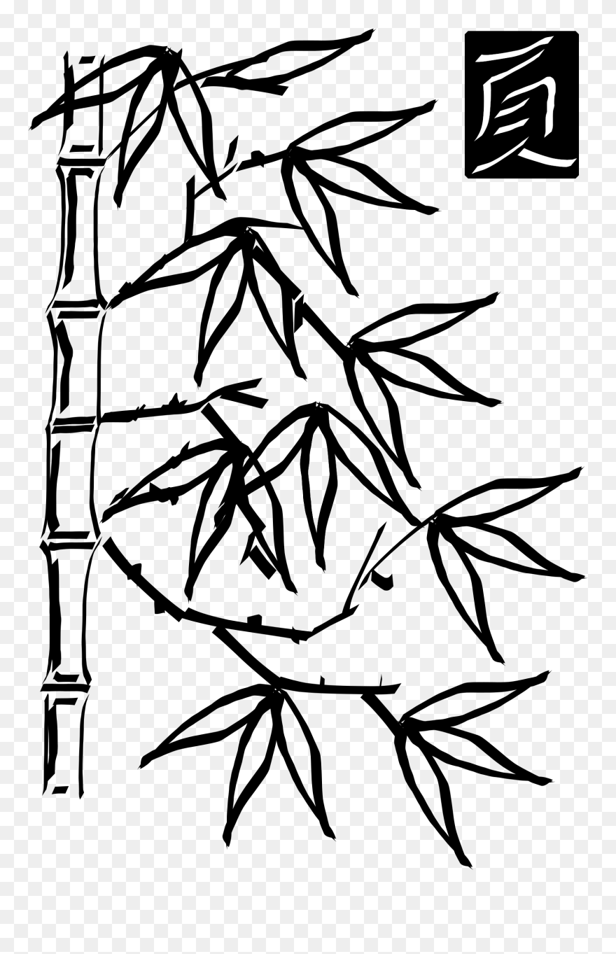 Medium Image - Bamboo Tree Clipart Black And White - Png Download