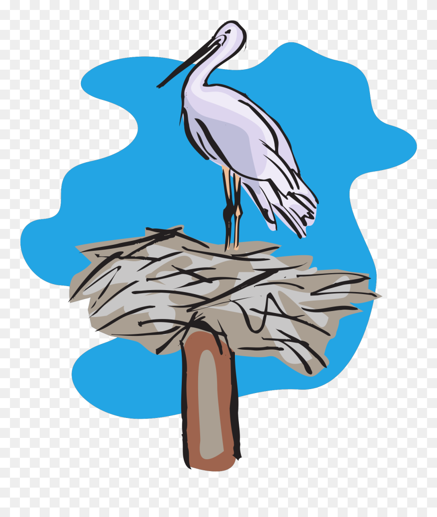 Sea Bird Clipart Pelican - Stork Nest Vector - Png Download