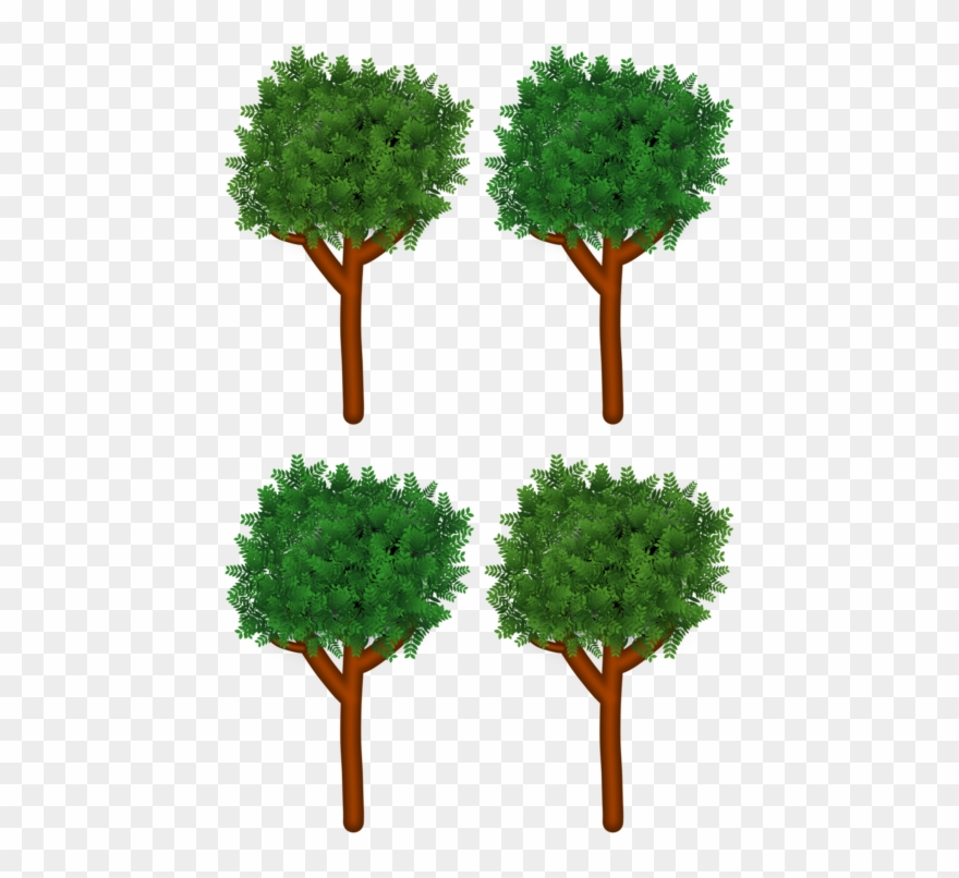 Tree Branch Shrub Forest Wood - Branch Clipart