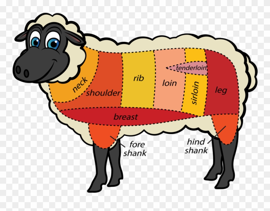 Cuts Meat Sheep Tips - Cuts Of Meat For Sheep Clipart
