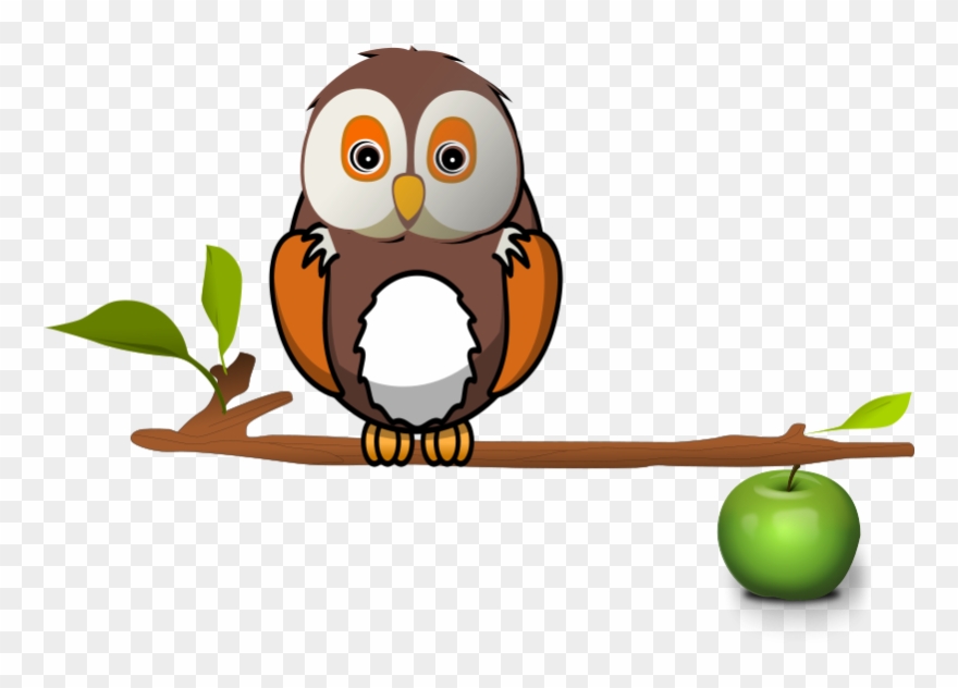 Free Owl On Branch - Owl On Branch Clipart - Png Download