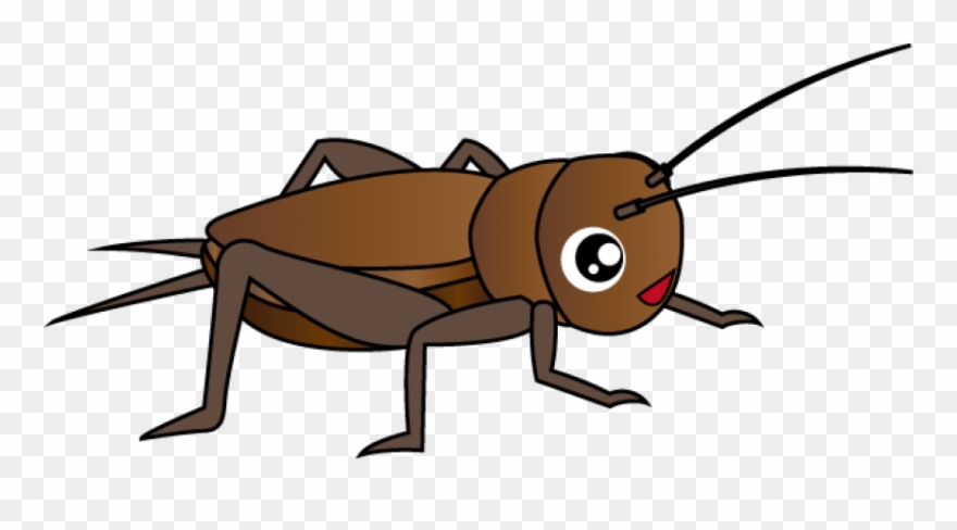 Clipart Png Insect - Insect Clipart Png Transparent Png