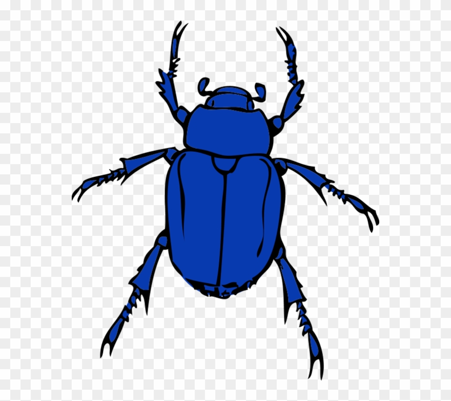 Blue Bug Clipart Clipartfest - Clipart Beetle - Png Download