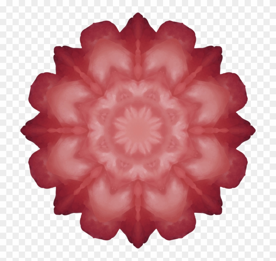 All Photo Png Clipart - Quadrants Of Head Transparent Png