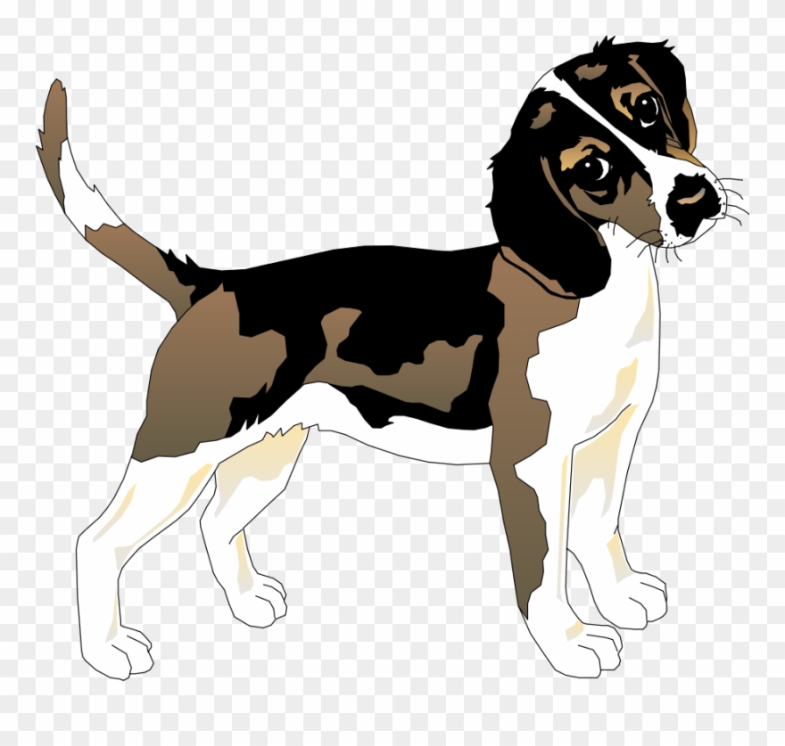 Clip Art Black And White Beagle Clipart - Beagle Dog T Shirt - Png Download